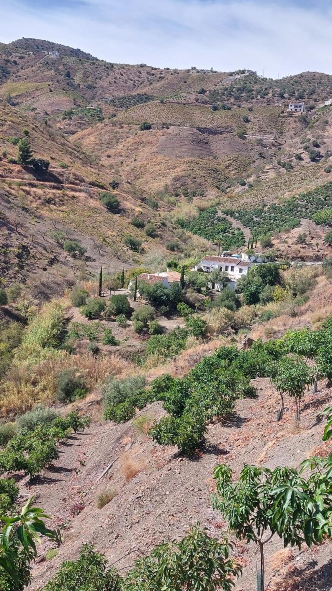 Cortijo Lagar De Luisa Casa rural