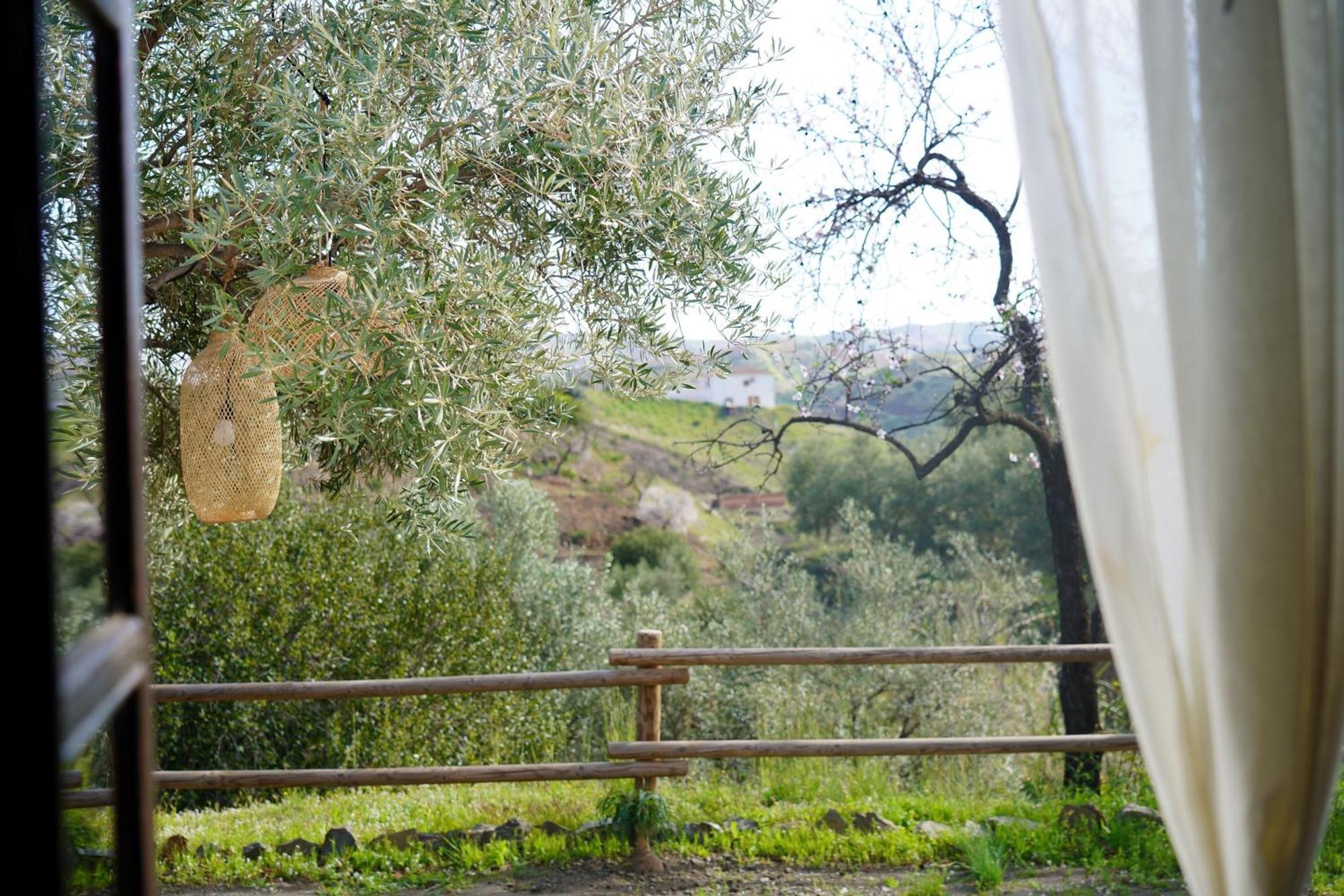Cortijo Lagar De Luisa *