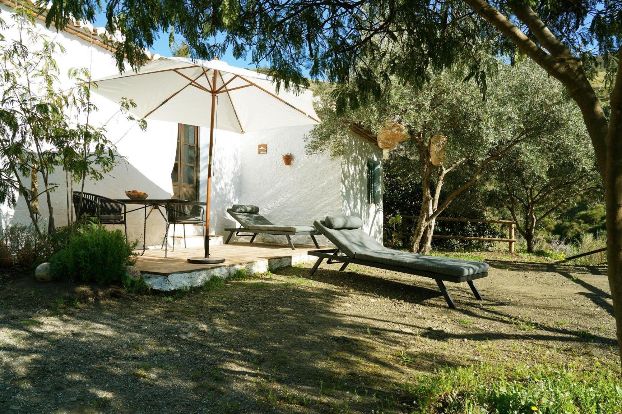 Cortijo Lagar De Luisa Borge