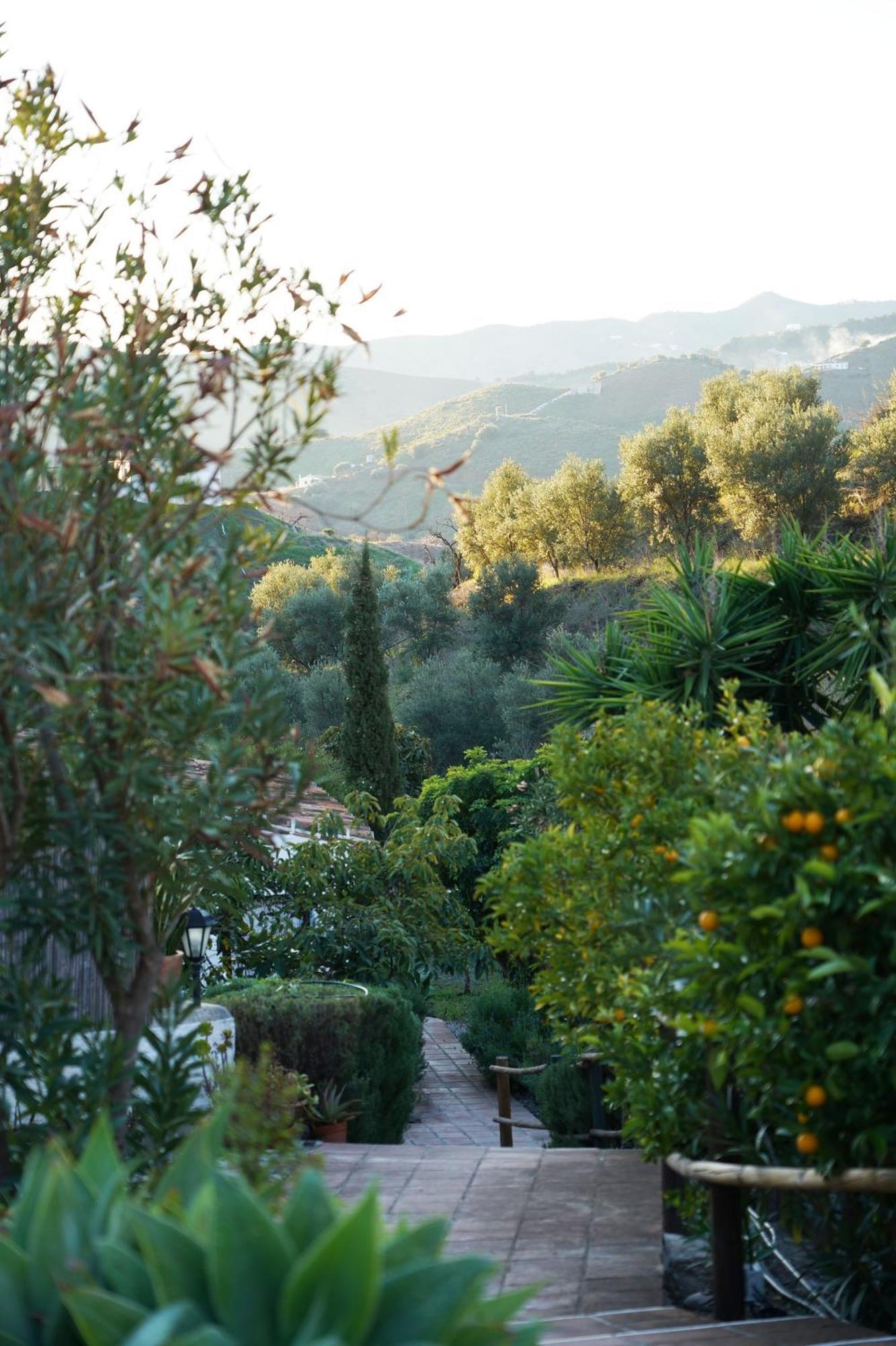 Cortijo Lagar De Luisa Casa rural