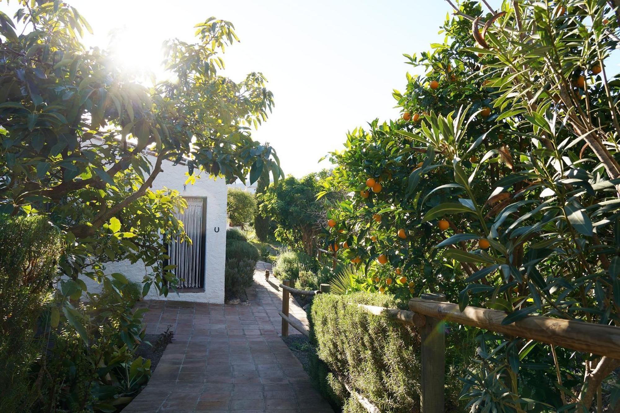 Casa rural Cortijo Lagar De Luisa Borge