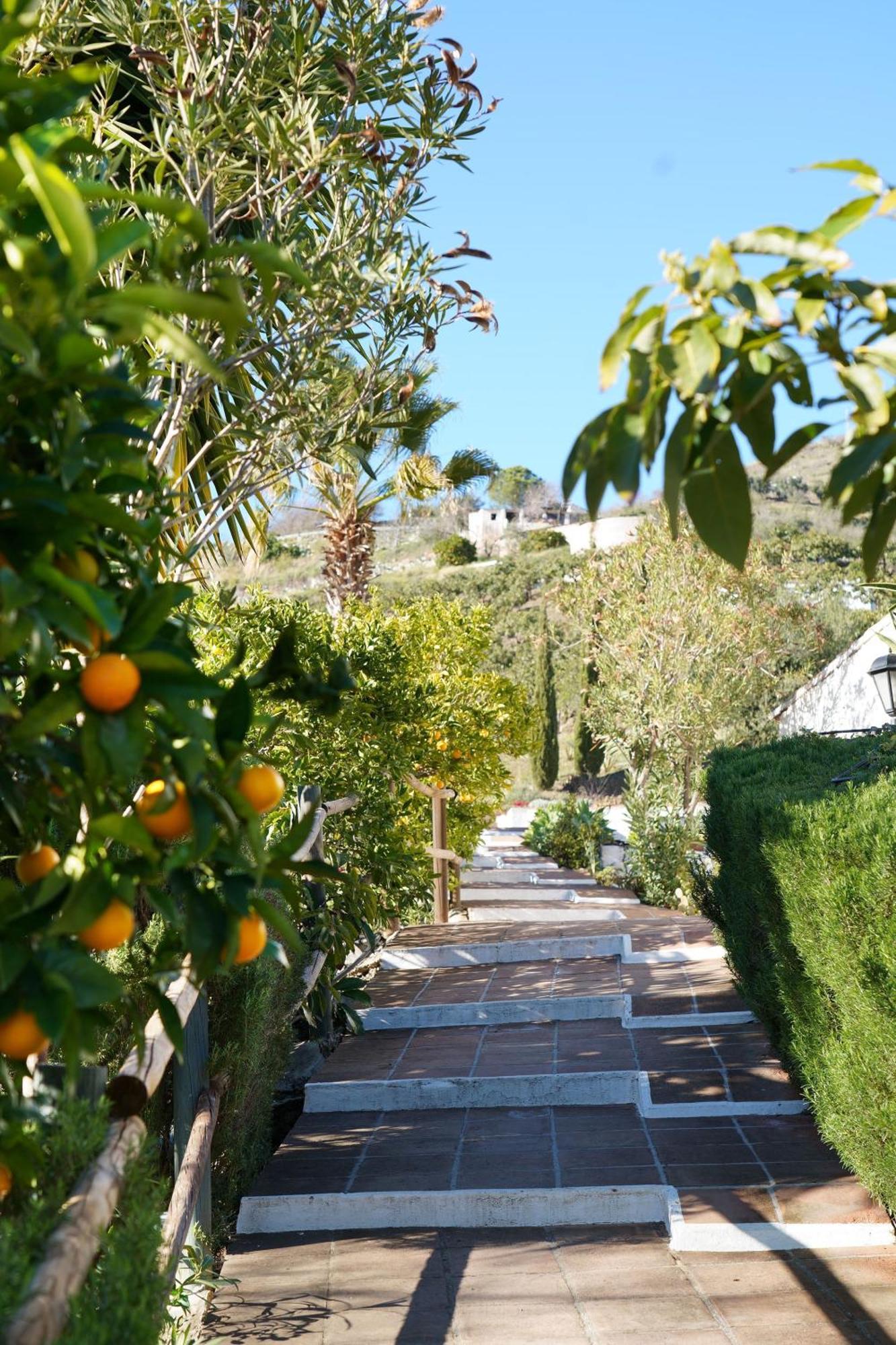 Casa rural Cortijo Lagar De Luisa